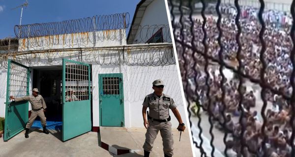 Ящеричный триллер со счастливым концом: российские туристы вернулись из Шри-Ланки