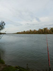 Протока Луговая