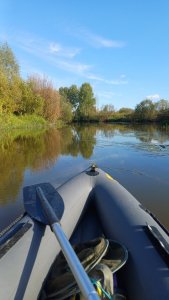 Накормить китайца.