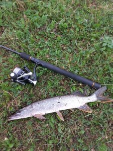 Первый день осени.