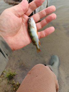 Начинаем потихоньку осень на воде.