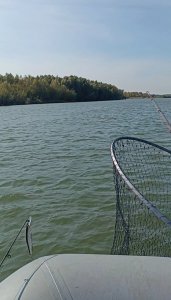 Обь. На хищника.