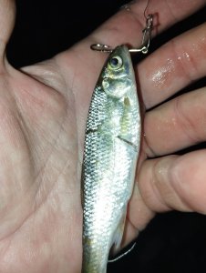 Проверка "гипотезы" или приметам надо верить!..