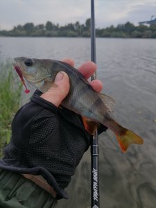В последний день лета.