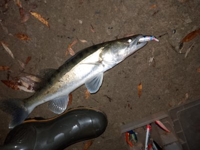 Восполнение