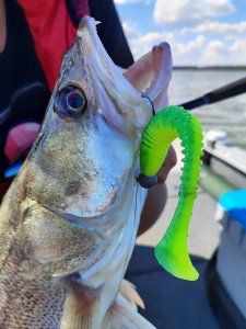 Девушки на воде