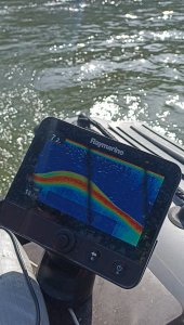 Обь. На хищника.