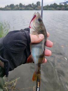 В последний день лета.