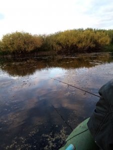 р.Бурла середина сентября