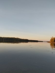 Проверка "гипотезы" или приметам надо верить!..