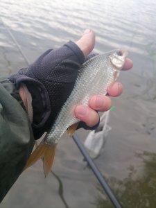 В последний день лета.