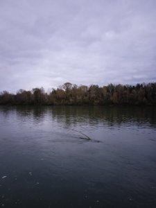 И снова протока Луговая.