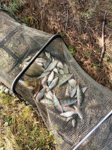 Очередная Горская лужа.