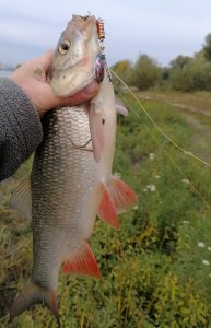 Тряхнул стариной..