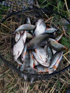 Юго-Западный.