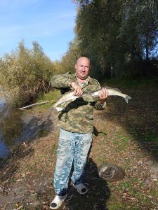 Протока Луговая