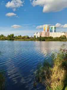 Очередной Юго-западный