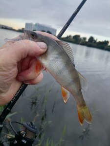 Юго-Западный.