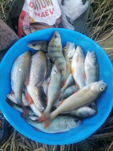 За огородами.