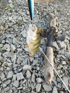 Скоротал вечерок!..