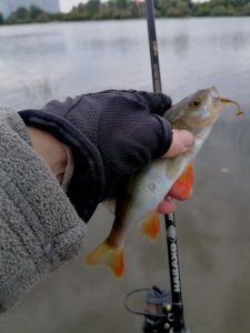 В последний день лета.