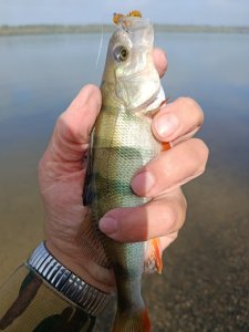 На Оби в черте города