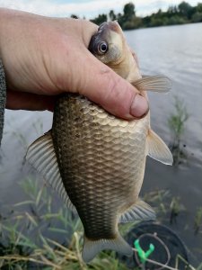 Юго-Западный.