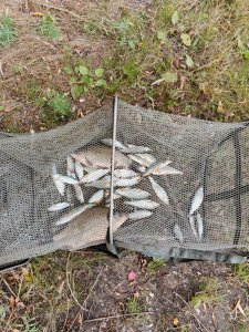 Начинаем потихоньку осень на воде.