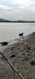 Рыбалка в центре города