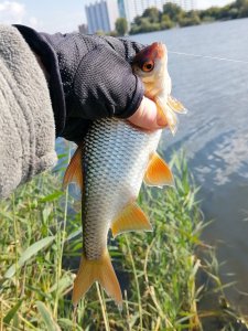 За огородами.