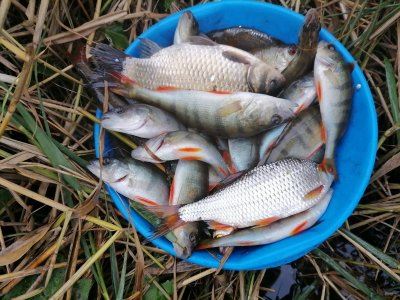 Юго-Западный.