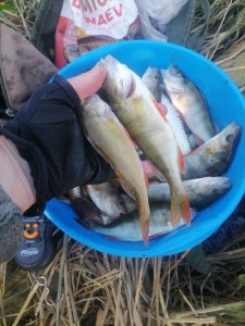 За огородами.