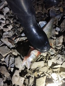 Скоротал вечерок!..