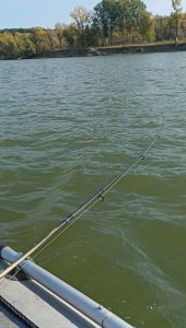 Обь. На хищника.