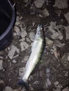 Хорошее завершение дня!..