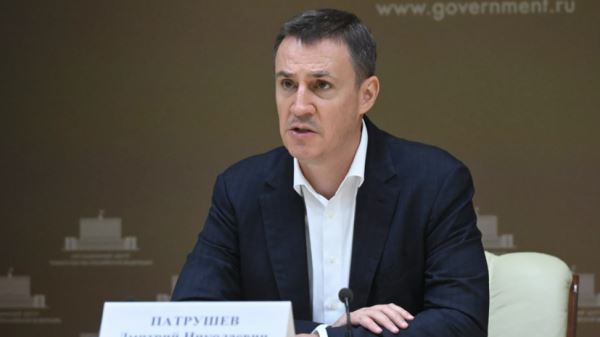 Патрушев обсудил вопросы экологии с главой Иркутской области Кобзевым