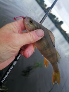 Юго-Западный.