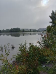 Очередной Юго-западный