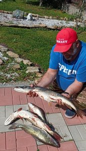 Обь. На хищника.