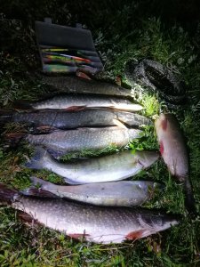 Тряхнул стариной..