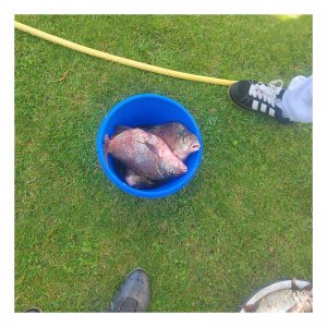 Огурцово. Обь