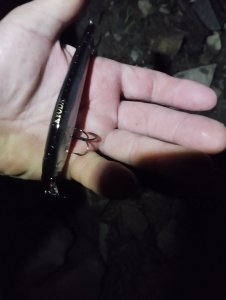 Скоротал вечерок!..