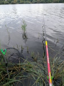 Юго-Западный.