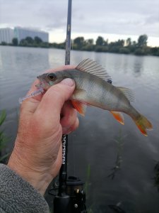 Юго-Западный.