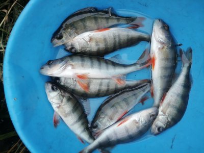 За огородами.