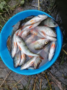 В последний день лета.