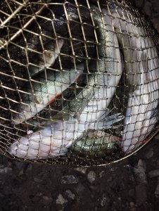 Хорошее завершение дня!..