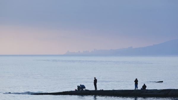 КТК: нефти и масляных плёнок на черноморском побережье после утечки нет