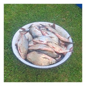 Огурцово. Обь