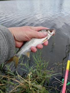 Юго-Западный.